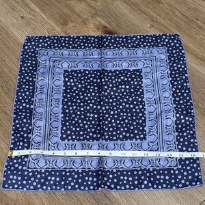 Polka Dot Blue Scarf